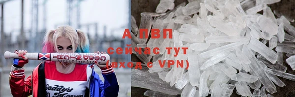 ГАЛЛЮЦИНОГЕННЫЕ ГРИБЫ Белоозёрский