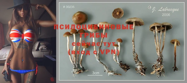 ГАЛЛЮЦИНОГЕННЫЕ ГРИБЫ Белоозёрский