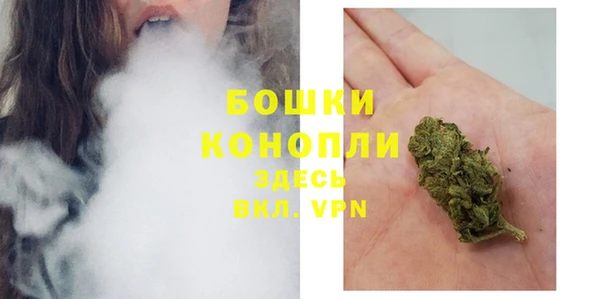 ГАЛЛЮЦИНОГЕННЫЕ ГРИБЫ Белоозёрский