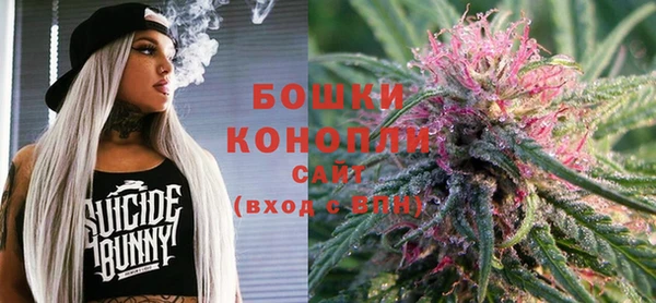 ГАЛЛЮЦИНОГЕННЫЕ ГРИБЫ Белоозёрский