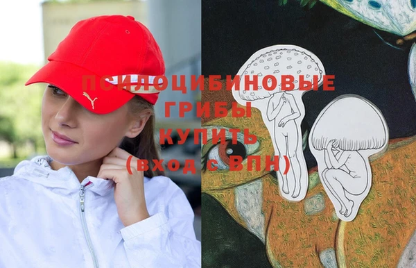 метамфетамин Белокуриха