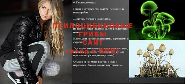 метамфетамин Белокуриха